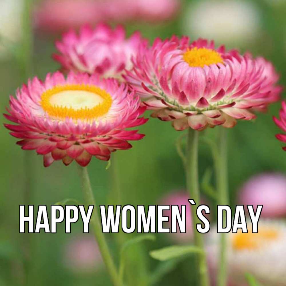 Greetings card с именем, выберите-имя happy women`s day подарок на международный женский день Greetings with text for free download 